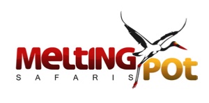 Melting Pot Safaris